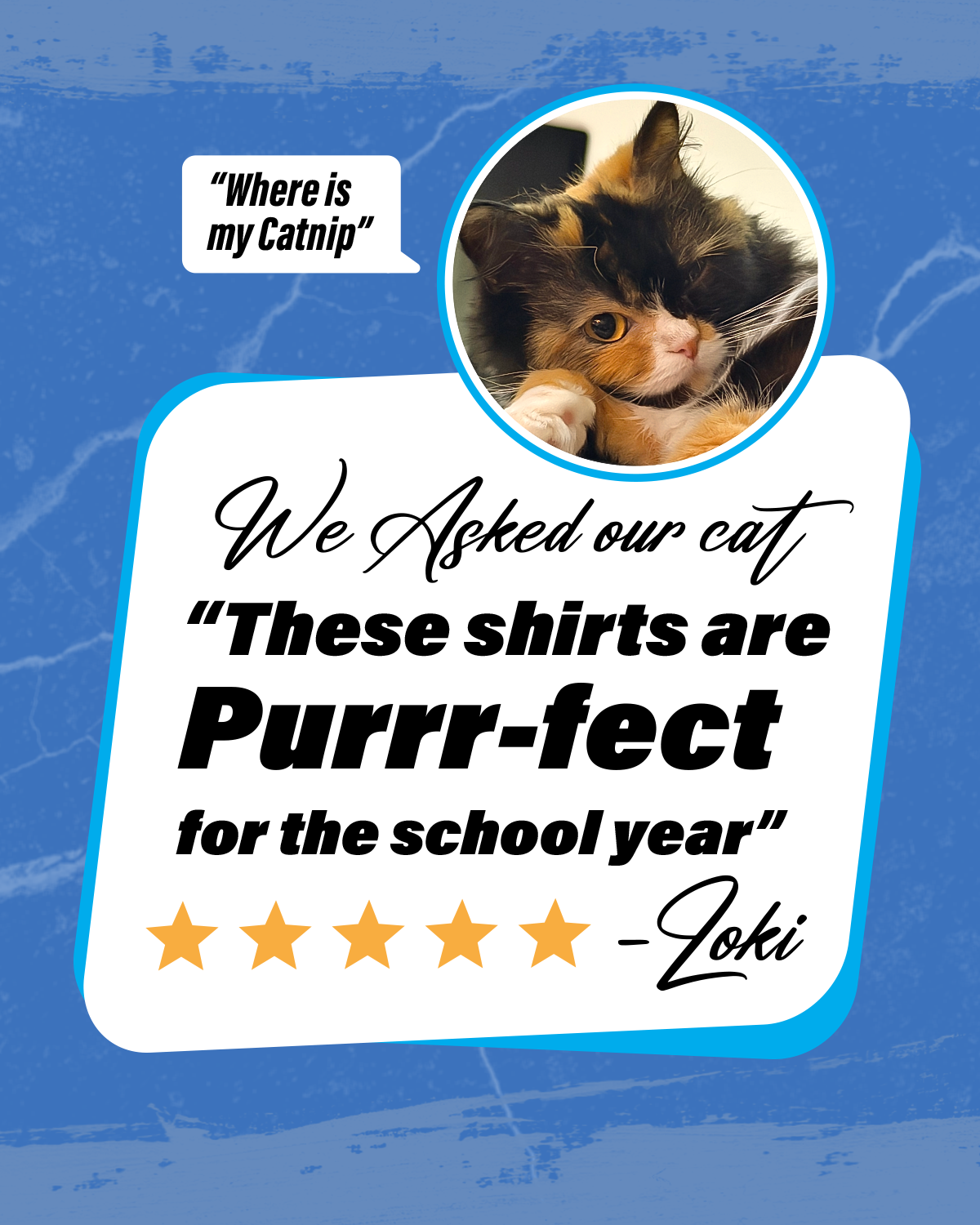 La Union Elementary 5 Polo Pack
